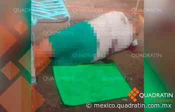 Matan a carnicero en pleno mercado de Huitzuco - Inicia lunes 27 vacunación de niños de 10 a 11 años de edad en la CDMX