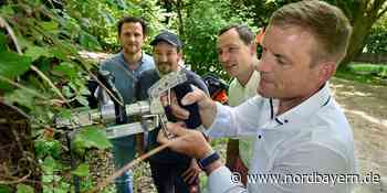 In Erlangen gibt es jetzt Impfungen für Ulmen - Nordbayern.de