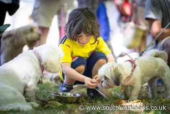 Pups on parade this weekend at Brunswick Park dog show - Southwark News