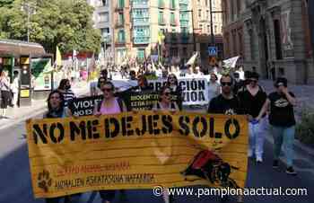 Una manifestación reclama en Pamplona unos Sanfermines "libres de maltrato animal" - Pamplona actual