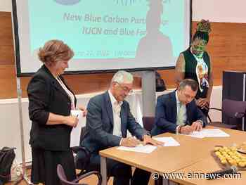 IUCN & Blue Forest launch New Blue Carbon Partnership @ UN Ocean Conference 2022 - A Model for Sustainable - EIN News