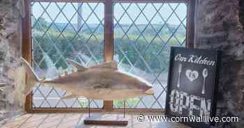 Delight as popular Plough Inn pub near Looe in Cornwall reopens months after it went into receivership - Cornwall Live