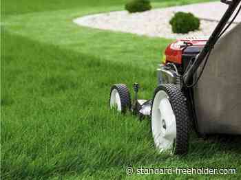 Cornwall's first No Mow May gets mixed feedback - Cornwall Standard-Freeholder