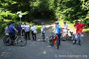 ▷ Verkehrssituation auf der Zufahrt zum Derdinger Horn - Eppingen.org