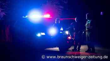 Minnesota: Drei tote Kinder und Mutter in See entdeckt