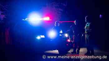 Minnesota: Drei tote Kinder und Mutter in See entdeckt