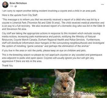 Child bitten by coyote in Oshawa park - durhamradionews.com