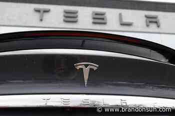 Tesla's 2Q sales drop amid supply chain, pandemic problems - The Brandon Sun
