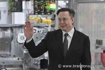 Musk meets pope, uses Twitter to announce the audience - The Brandon Sun