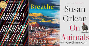 New in Paperback: Susan Orlean and Brandon Taylor - The New York Times