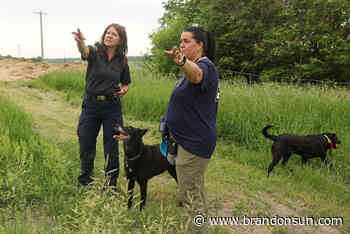 Suspected remains of Jordan Ross found - The Brandon Sun