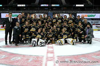 CROWE'S NEST: Regina hub allows for unique WHL season - The Brandon Sun