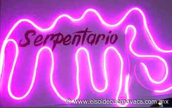 Sector empresarial promueve exposición con temática LGBT+ - El Sol de Cuernavaca