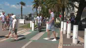 Un enfant tué à Nice : les trottinettes électriques, un danger public ? - TF1 INFO