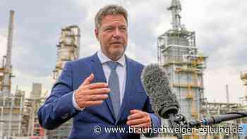 CETA-Ratifizierung: Umweltverbände verurteilen Grünen-Pläne