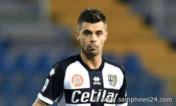Grassi Sampdoria, pressing sul Parma: il centrocampista è vicino - Samp News 24