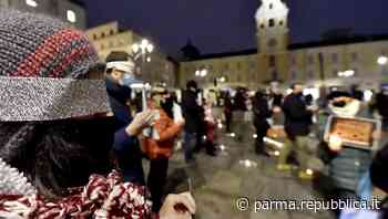 "Sos macachi": appello degli animalisti al neo sindaco di Parma - La Repubblica
