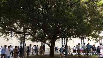 Dieci borse di studio per studenti ucraini iscritti all’università di Parma - La Repubblica