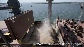 Türkei soll russischen Frachter mit Getreide aus der Ukraine festsetzen