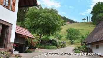 Lärm in Aichhalden - Noch mehr Verkehr im Eselbach befürchtet - Schwarzwälder Bote
