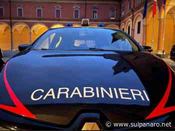 Soliera. Vende online degli integratori ma non invia la merce: nei guai una 51enne - SulPanaro