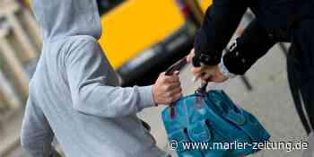 Marl: Handtaschenraub am City-See - Fahndung nach Mann läuft - Marler Zeitung