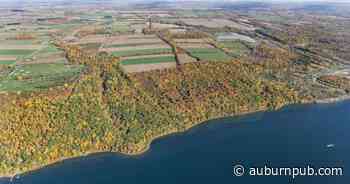 Largest remaining piece of unprotected Cayuga Lake shoreline purchased for conservation - The Citizen