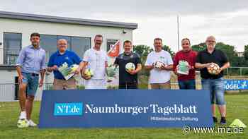 Benefizspiel in Naumburg: Fußballduell am 8. Juli am Anger für guten Zweck - Mitteldeutsche Zeitung