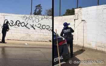 Policía de Rosarito lucha contra graffitti y con rodillo y brocha recupera espacios - Diario Tijuana