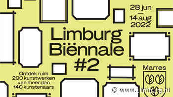 Limburg Biënnale: geen onderscheid amateurs en professionals - 1Limburg | Nieuws en sport uit Limburg