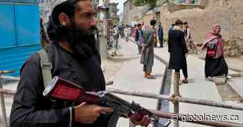 Taliban weaponized Twitter: UofR research report