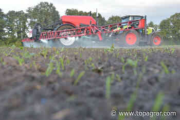 Wegen EU-Plänen zum Pflanzenschutz: Landwirte aus Soest schlagen Alarm - top agrar online