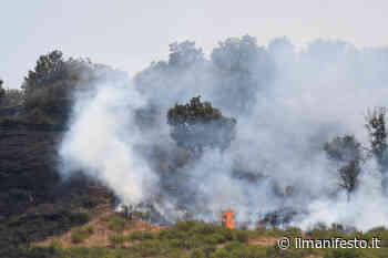 Ogni anno brucia un'area verde pari al lago di Garda - Il Manifesto
