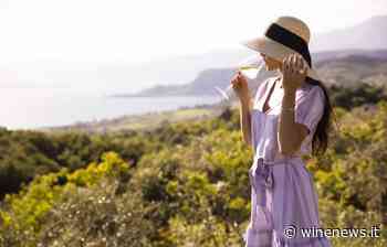 Doc Garda, una “denominazione di denominazioni” per valorizzare vini varietali fermi e spumanti - WineNews