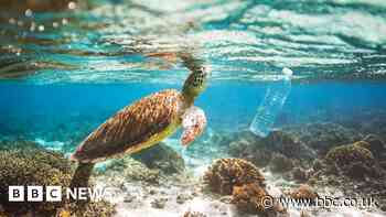 How much of our plastic 'recycling' is actually recycled?