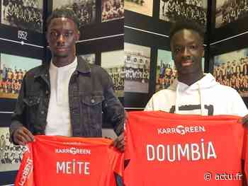 Lorient : Les Merlus annoncent deux nouvelles arrivées dans l’équipe professionnelle - actu.fr