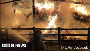 Marchwood fire: Barn and hay bales destroyed