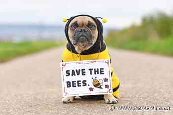 Saving The Bees One Tree at a Time