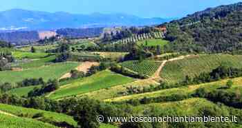 È nato in Val di Cecina il secondo Distretto Biologico della Toscana - Redazione di Associazione culturale Toscana Chianti Ambiente