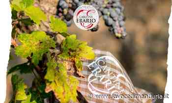 Concours Mondial de Bruxelles, il Primitivo dell'azienda Erario unico manduriano con l'oro - La Voce di Manduria