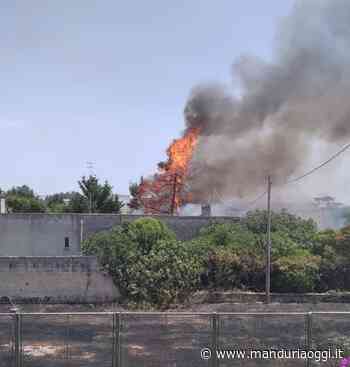 MANDURIA - Incendio all'interno del Parco archeologico: quando il Comune deciderà di programmarne una costante pulizia? - ManduriaOggi