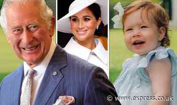 'Faux outrage would dominate' Palace leak sparks defence of Meghan's media strategy - Express