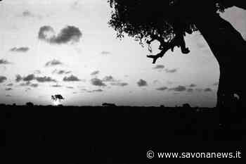 Albenga, l'avanguardia genovese in mostra alla sala Ucai, foto di Novaresio e sculture di Fabbri - SavonaNews.it