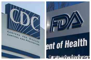 Marathon US hearings to decide fate of COVID shots for tots - The Record (New Westminster)