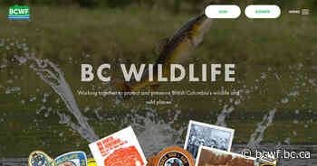 Creston local lands Grand Prize in Kootenay Lake Angler Incentive Program's year end draw - BC Wildlife Federation