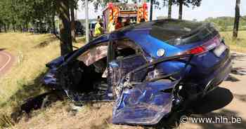 Bestuurder zwaargewond na klap tegen boom op Zalegemdijk - Het Laatste Nieuws