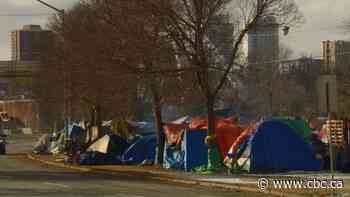2 Edmonton city councillors say pilot homeless encampment too expensive - CBC.ca