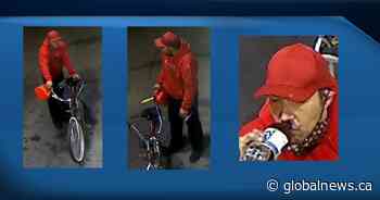 Man charged in connection with string of arsons in Edmonton’s Alberta Avenue area - Global News