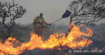 Incêndio na Serra do Cipó: brigadas voluntárias combatem focos - Estado de Minas