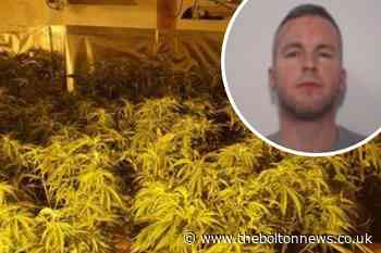 Bolton cannabis farmer to be deported at end of jail sentence - The Bolton News